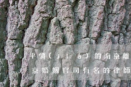 平價(jià)的南京離婚案件律師排名(南京婚姻官司有名的律師)
