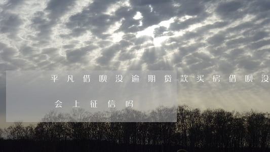 平凡借呗没逾期贷款买房(借呗没有按时还款会上征信吗)