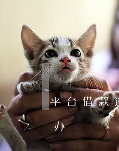 平台借款逾期了怎么办(平台借钱逾期了怎么办?)