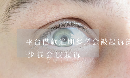 平台借款逾期多久会被起诉(贷款平台逾期多少钱会被起诉)