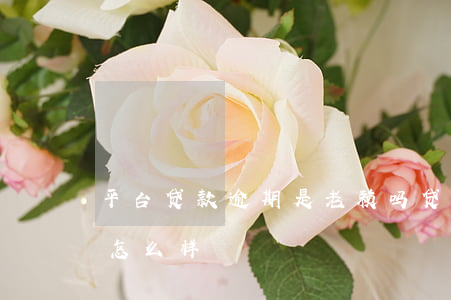 平台贷款逾期是老赖吗(贷款平台逾期不还会怎么样)