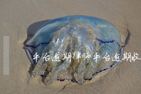 平台逾期律师(平台逾期收到律师函)