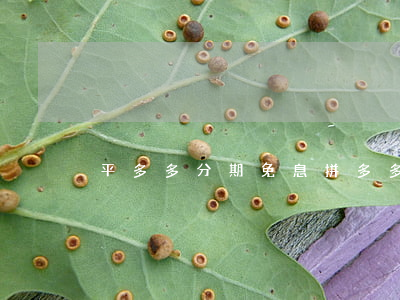 平多多分期免息(拼多多買東西分期免息)