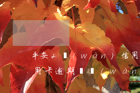 平安2萬(wàn)信用卡逾期后果(平安信用卡逾期兩萬(wàn)了,銀行起訴了怎么辦)
