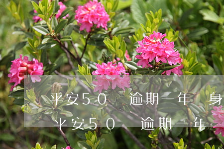 平安50萬逾期一年親身經(jīng)歷 平安50萬逾期一年親身經(jīng)歷
