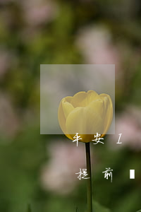 平安I貸提前還款還逾期(平安i貸可不可以提前還完款)