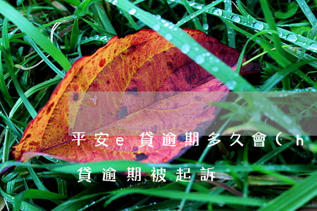 平安e貸逾期多久會(huì)起訴(平安i貸逾期被起訴)