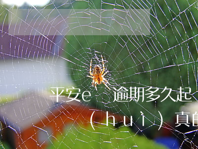 平安e貸逾期多久起訴 平安i貸逾期一年他們會(huì)真的去起訴嗎