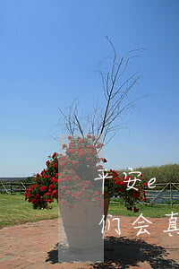 平安e贷逾期多久起诉 平安i贷逾期一年他们会真的去起诉吗