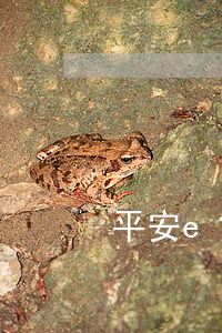 平安e贷逾期被起诉(平安i贷逾期被起诉)