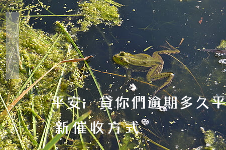 平安i貸你們逾期多久(平安i貸逾期兩年最新催收方式)