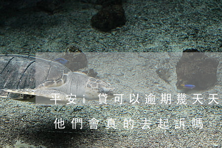 平安i貸可以逾期幾天天 平安i貸逾期一年他們會真的去起訴嗎
