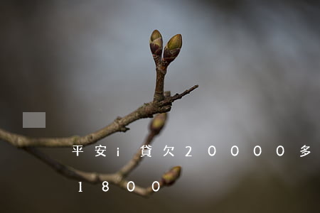 平安i貸欠20000多逾期(平安i貸被騙1800)
