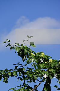 平安i貸欠5400(平安i貸欠了四千多有一年多沒(méi)錢還會(huì)被起訴嗎)