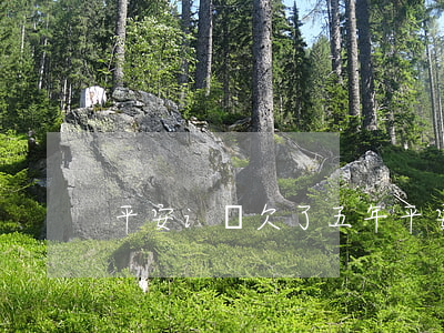 平安i貸欠了五年(平安i貸逾期三年了)