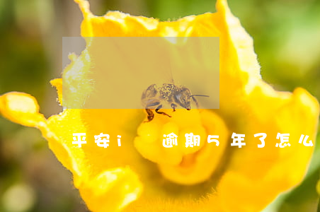 平安i貸逾期5年了怎么辦信用卡