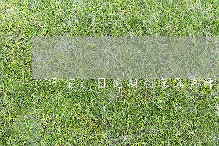 平安i貸逾期利息真高(平安i貸 逾期 2年)