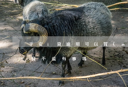 平安i貸逾期可以買(mǎi)房嗎(平安i貸不還有事嗎)
