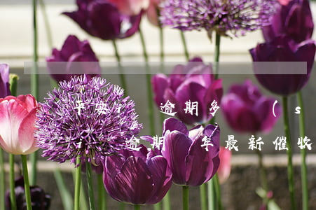 平安i貸逾期多長時(shí)間起訴(平安i貸逾期兩年最新催收方式)