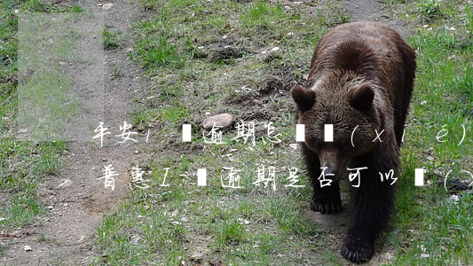 平安i貸逾期怎樣協(xié)商還款 平安普惠I貸逾期是否可以協(xié)商還本金