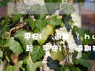 平安i貸逾期會(huì)不會(huì)起訴 平安i貸逾期被起訴