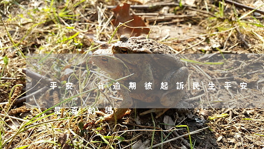 平安i貸逾期被起訴民生(平安i貸訴前通知是真的嗎)