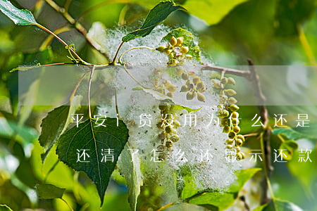 平安i贷没用为什么还是还款中-平安i贷还清了怎么还显示还款中