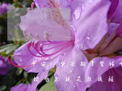 平安i贷逾期了，警惕！平安i贷逾期后果严重，切勿忽视还款提醒