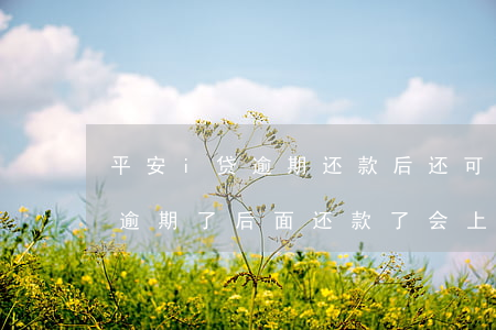 平安i贷逾期还款后还可以借嘛-平安i贷逾期了,后面还款了会上征信吗