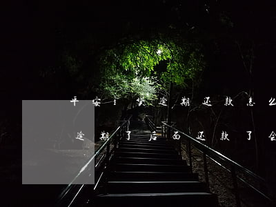 平安i贷逾期还款怎么恢复额度-平安i贷逾期了,后面还款了会上征信吗