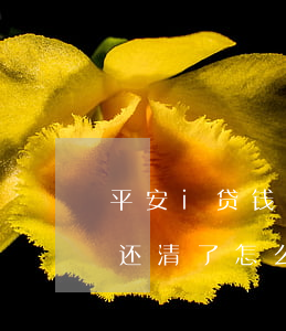 平安i贷钱扣了可还显示还款中-平安i贷还清了怎么还显示还款中