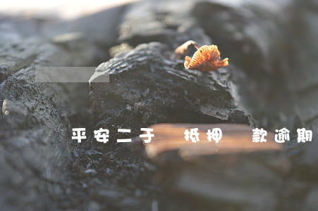 平安二于車抵押貸款逾期(平安二次抵押貸款)