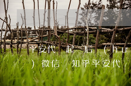 平安代償起訴后會(huì)凍結(jié)微信嗎知乎（平安代償起訴后會(huì)凍結(jié)微信嗎）