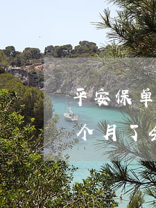 平安保单贷款逾期4年了(平安保单贷逾期三个月了会不会被起诉)