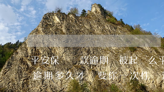 平安保單貸款逾期會被起訴么(平安保單貸款逾期多久才會要你一次性還清)