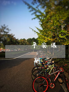 平安保單貸款還款逾期(平安保單貸款還款逾期)