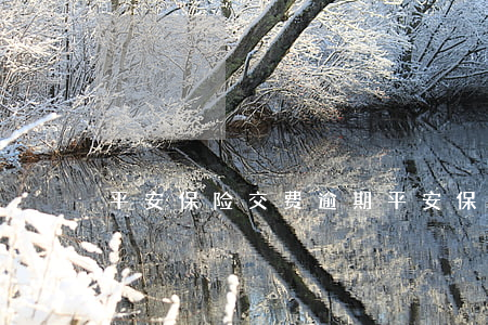 平安保险交费逾期(平安保险交费逾期)