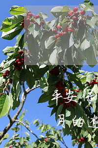 平安保險(xiǎn)交錢有兩個(gè)月的逾期么-