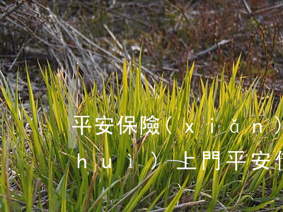 平安保險(xiǎn)信用卡逾期多久會(huì)上門 平安信用卡5000逾期會(huì)上門嗎平安