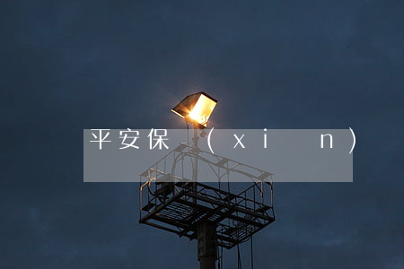 平安保險(xiǎn)條款