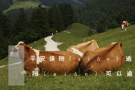 平安保險(xiǎn)逾期能貸款嗎(平安保險(xiǎn)可以逾期多久交)