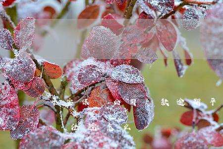 平安保險公司貸款逾期(平安銀行貸款逾期起訴法院怎么辦?)