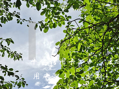 平安信用卡1w額度逾期三年了（平安銀行信用卡欠3萬逾期4個月）