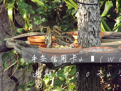 平安信用卡2萬(wàn)逾期三年(信用卡逾期3000元2年)