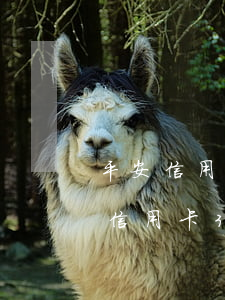 平安信用卡3000元逾期7個(gè)月(信用卡3000逾期一個(gè)月多少錢(qián))