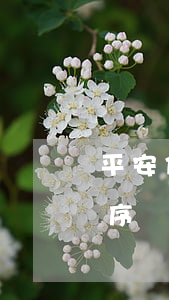 平安信用卡3000逾期1年多會走法律程序嗎（平安信用卡逾期三天會有影響嘛）