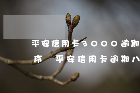平安信用卡3000逾期1年多會走法律程序嗎（平安信用卡逾期八千會上門嗎）