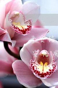 平安信用卡3個月逾期有什么后果是什么（平安信用卡逾期一個星期還款）