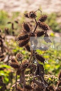 平安信用卡3個月逾期有什么后果是什么（平安信用卡逾期兩個月還清后果）