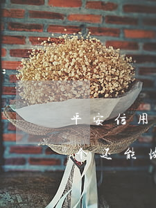 平安信用卡3千逾期半年（平安信用卡逾期2个还能恢复吗）